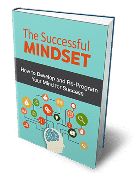The Successful Mindset